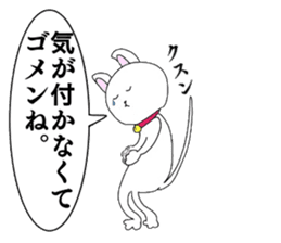 The Apology CAT sticker #14680286