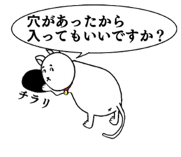 The Apology CAT sticker #14680291