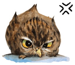 Kura's cute owls sticker #14680710