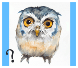 Kura's cute owls sticker #14680712