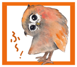 Kura's cute owls sticker #14680715