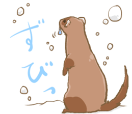 Ferret's sticker! winter version. sticker #14681927
