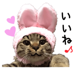 Treatment Nyan 2 sticker #14682598