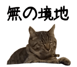 Treatment Nyan 2 sticker #14682599