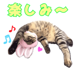 Treatment Nyan 2 sticker #14682601