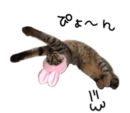 Treatment Nyan 2 sticker #14682603