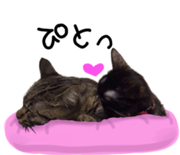 Treatment Nyan 2 sticker #14682604