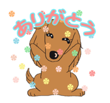 I want to have always with you.ANIMATION sticker #14684152