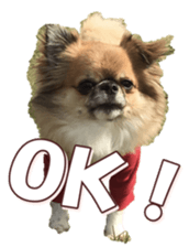 doggiesfan8 sticker #14685061