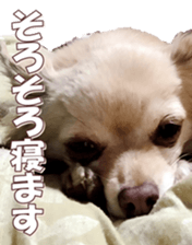 doggiesfan8 sticker #14685063