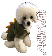 doggiesfan8 sticker #14685067