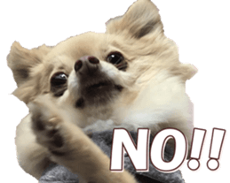 doggiesfan8 sticker #14685075