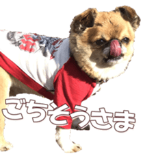 doggiesfan8 sticker #14685076