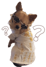 doggiesfan8 sticker #14685078