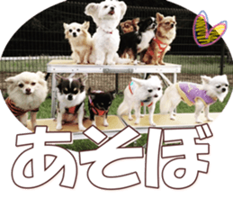 doggiesfan8 sticker #14685080