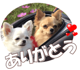 doggiesfan8 sticker #14685081