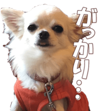 doggiesfan8 sticker #14685082