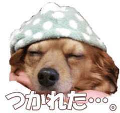 doggiesfan8 sticker #14685083