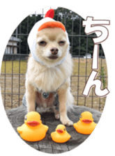 doggiesfan8 sticker #14685084