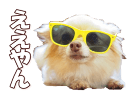 doggiesfan8 sticker #14685085