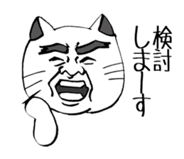 Peculiar cat's Expression. sticker #14686779