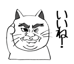 Peculiar cat's Expression. sticker #14686802