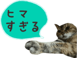 cat of cure balloon version Japanese sticker #14687940