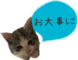 cat of cure balloon version Japanese sticker #14687944