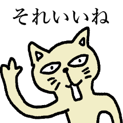 A cat affirming everything