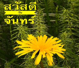 Duke's Flowers sticker #14689270