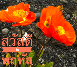 Duke's Flowers sticker #14689273