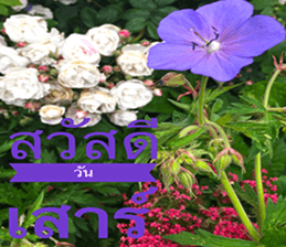 Duke's Flowers sticker #14689275