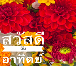 Duke's Flowers sticker #14689276