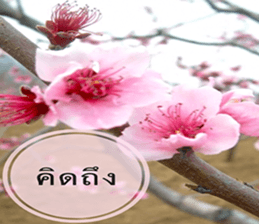 Duke's Flowers sticker #14689279