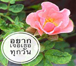 Duke's Flowers sticker #14689281