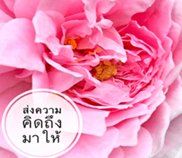 Duke's Flowers sticker #14689282