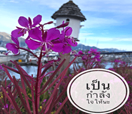 Duke's Flowers sticker #14689284