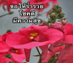 Duke's Flowers sticker #14689287