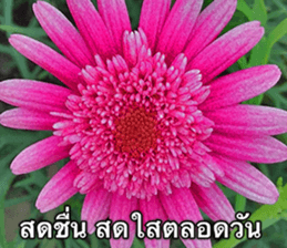 Duke's Flowers sticker #14689288