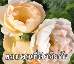 Duke's Flowers sticker #14689290