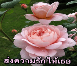 Duke's Flowers sticker #14689292