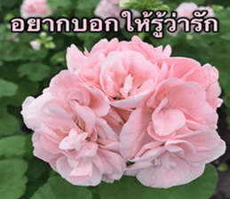 Duke's Flowers sticker #14689295