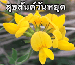 Duke's Flowers sticker #14689297