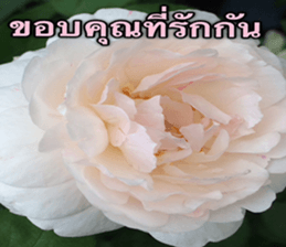 Duke's Flowers sticker #14689299