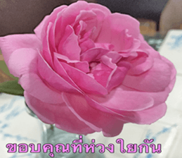 Duke's Flowers sticker #14689303