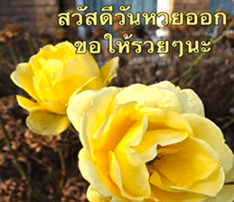 Duke's Flowers sticker #14689304