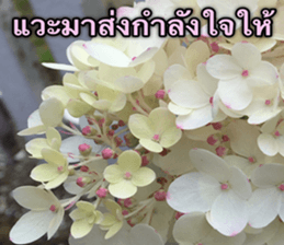 Duke's Flowers sticker #14689306