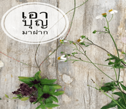 Duke's Flowers sticker #14689309