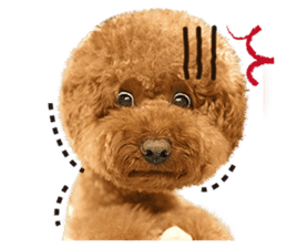 Poodle-This Is Acting (EN-1) sticker #14689512