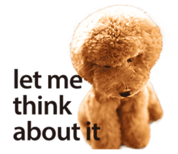 Poodle-This Is Acting (EN-1) sticker #14689516